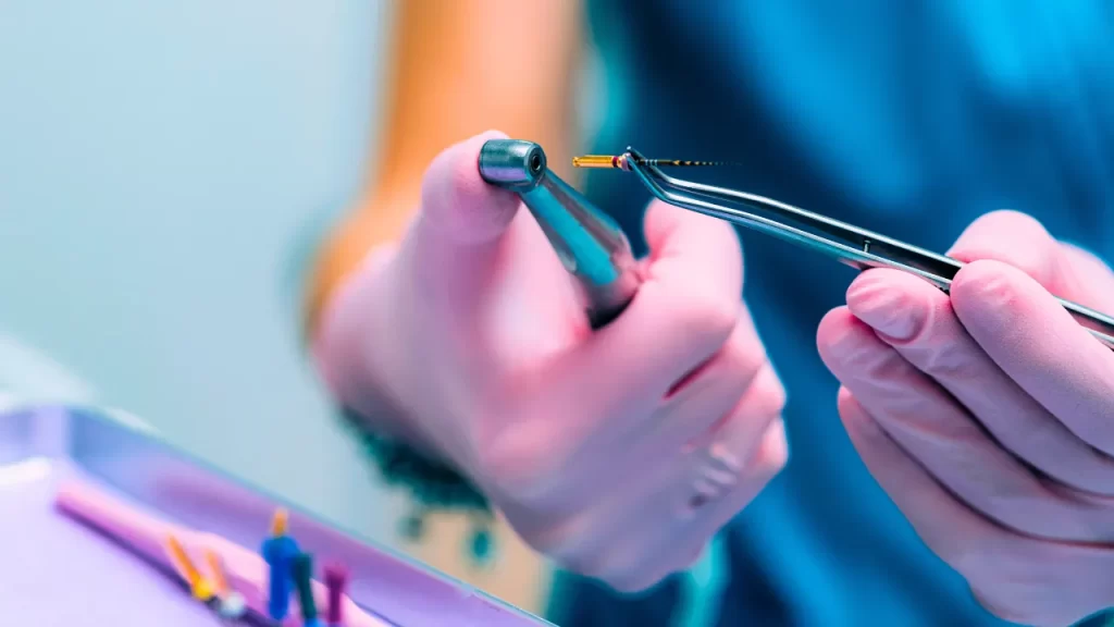 Dentist holding equipment for root canal